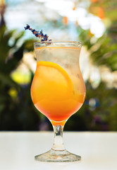 orange cocktail  in high ball glass