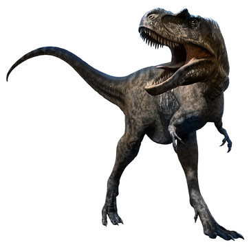 Albertosaurus from the Cretaceous era 3D illustration