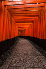 Fototapeta premium Holiday in Japan - Raining day in Torii Gates, Fushimi Inari Shrine, Kyoto