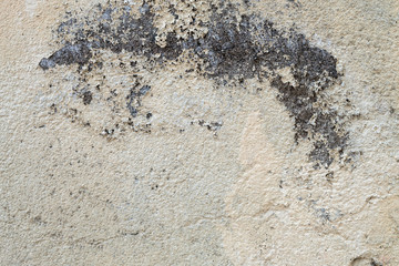 Wall with peeling paint