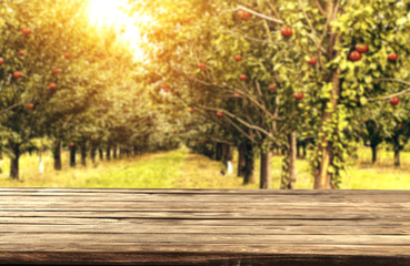 Naklejka premium table background autumn 