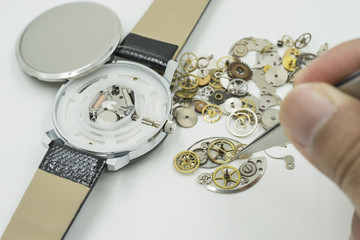 watchmaker hold the needle from gear heap on isolate background