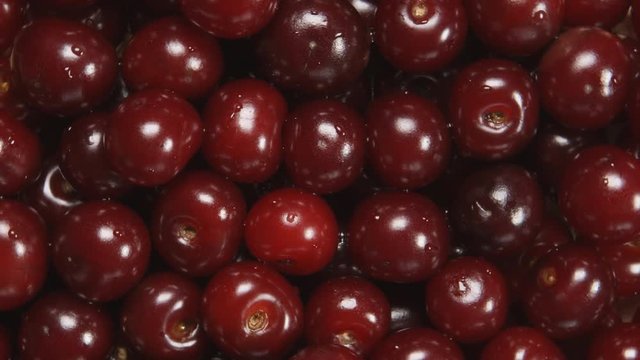 TOP VIEW: Cherry berries are rotating
