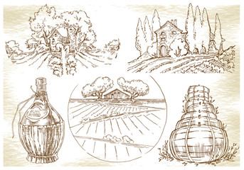 Hand made sketch grape fields and vineyards.