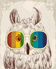 Fototapeta premium Vector sketch of owls with glasses. Retro illustration