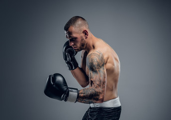 Shirtless fighter isolated on grey background.