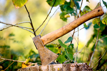 axe on wooden stump