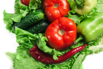 Fresh organic vegetables. Autumn vegetables. Harvesting. Ingredients for the salad. Lettuce, tomatoes, cucumbers, zucchini, eggplant, peppers, chillies.