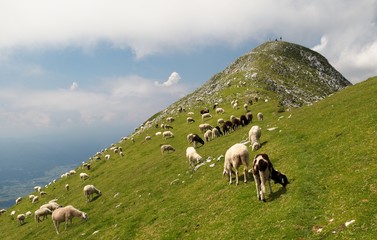 Veliki Vrh mountain in Karawanken mountains in Slovenia