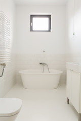 Fototapeta na wymiar Cleanliness of transparency - dream bathroom