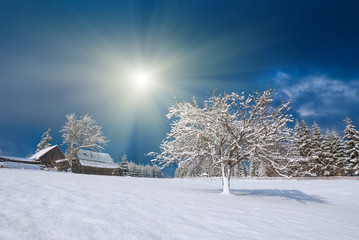 Snowy Carpathian village