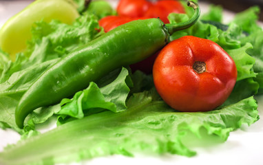 Fresh organic vegetables. Autumn vegetables. Harvesting. Ingredients for the salad. Lettuce, tomatoes, cucumbers, zucchini, eggplant, peppers, chillies.