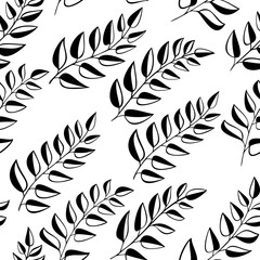 Obraz premium Seamless pattern with fern - black and white