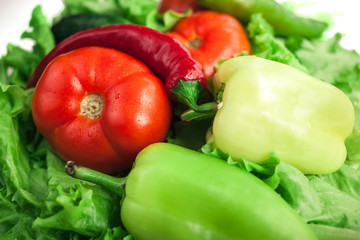Fresh organic vegetables. Autumn vegetables. Harvesting. Ingredients for the salad. Lettuce, tomatoes, cucumbers, zucchini, eggplant, peppers, chillies.