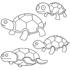 vector set of turtle