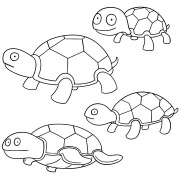 vector set of turtle