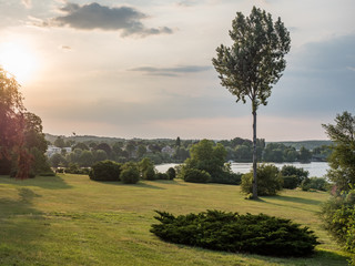 Summer in park during sunset