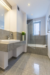 Luxurious bathroom in white and grey idea