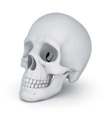 White skull over white,  3D illustration