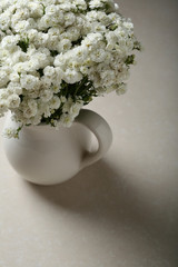 White small gypsophila  in vase