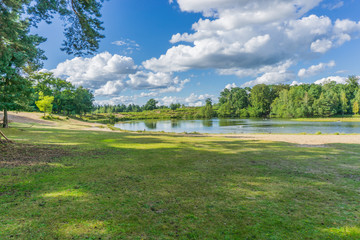 Fototapeta premium beautiful forest pond landscape from distance view