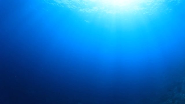 Underwater ocean and sunlight in blue water