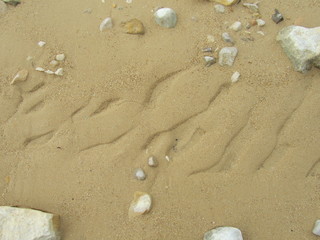 Arrière plan sable et galets 4