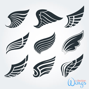 Set vintage wings for design projects. The elements and logo templates, stickers, icons, tattoos. The feathers of birds and abstract code in the form of the wing. Isolated objects.