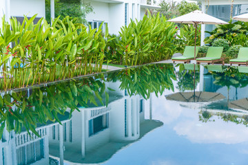 Pool area with plants