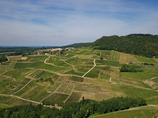 Fototapeta na wymiar Panorama sur le vignoble de Château Chalon.