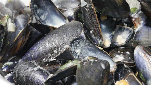 Blue common mussel used and eaten food background 4K 2160p 30fps UltraHD footage - Shells of Mytilus edulis after tasty meal on pile 4K 3840X2160 UHD video 