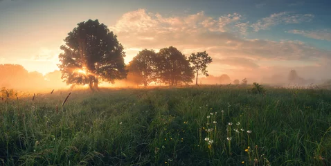 Wall murals Morning with fog Colorful spring sunrise on meadow