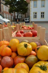 Tomaten auf dem Wochenmarkt in Bielefeld, Klosterplatz