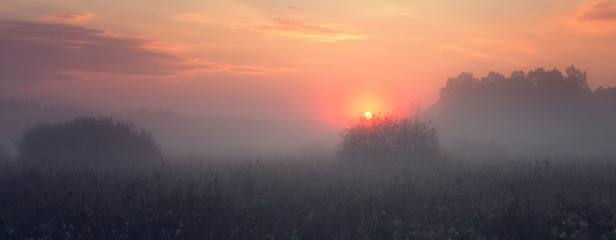 Warm misty morning landscape