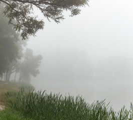 Fototapeta na wymiar Foggy lake in the morning