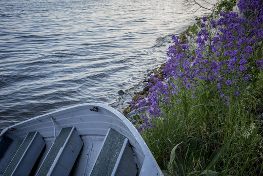 small boat pulled on shore, framed by purple flowers