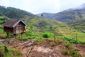 Henhouse in the mountains of Africa on a misty rainy morning © pwollinga