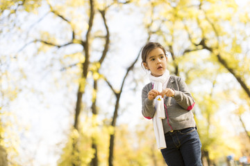 Little girl in the autumn park