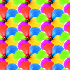 Fototapeta na wymiar Multicolored flowers kaledoscope pattern as abstract background.Digitally generated image.