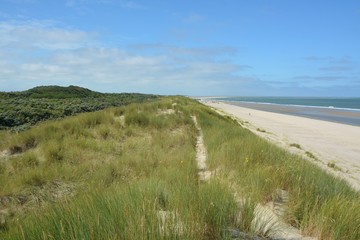 Beautiful sand dunes
