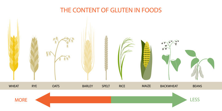 Infographics on the levels of gluten in foods.