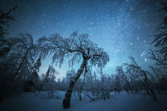 Night sky stars, Lapland, Finland, Europe 