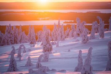 Photos, illustrations et vidéos de neige