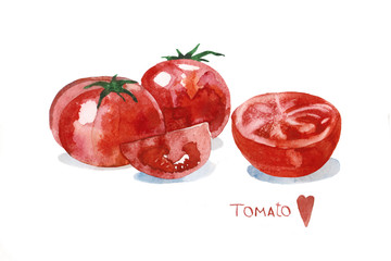 watercolor illustration of tomatoes