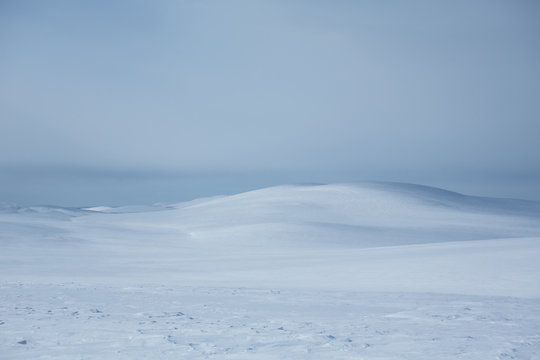 Snowscape, Lapland, Finland, Europe 