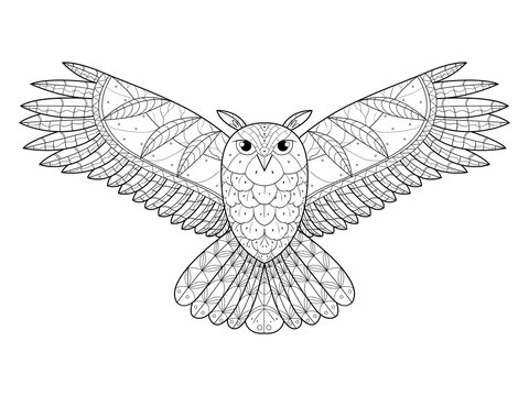 Owl coloring book for adults vector
