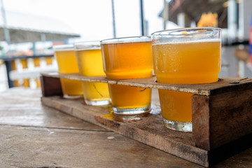 Craft beer in the glass