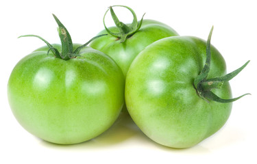 Three green unripe tomato isolated on white background