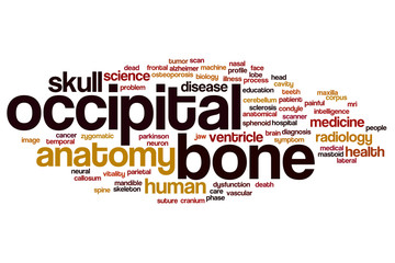 Occipital bone word cloud