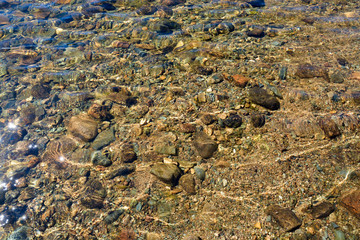 The background of the river bottom.